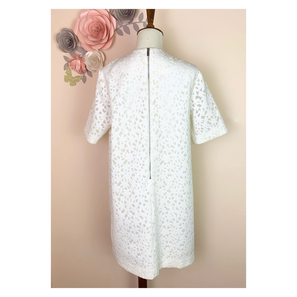 New! ELIZABETH & JAMES Chelle Flocked Shift Dress - Picture 7 of 12